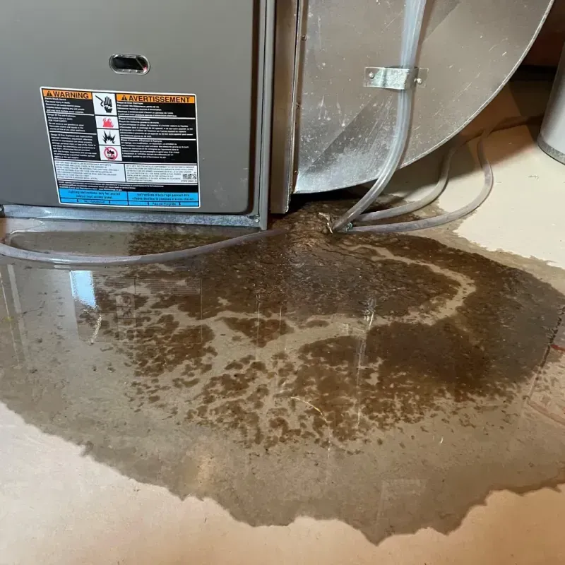 Appliance Leak Cleanup in Chicago Lawn, IL